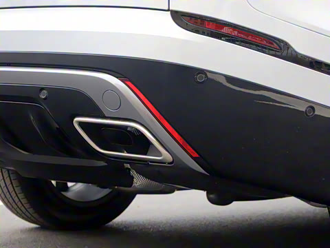 2021�� P340 R-DYNAMIC SE