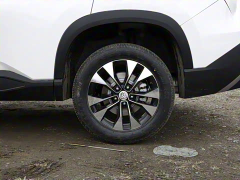 2021�� ȫ���������� 1.5T CVT������ 6��