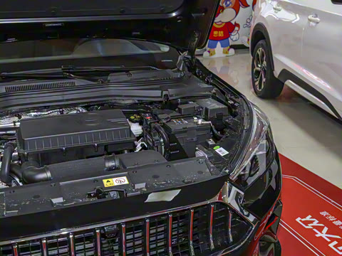 2021�� 1.5T �ֶ�������