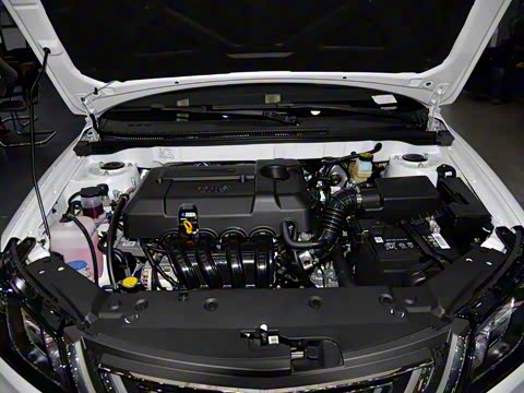 2017�� �������� 1.5L �ֶ����ϰ�