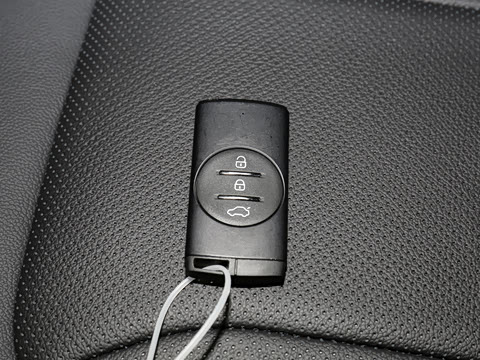 2021�� 390T ������ҫ��