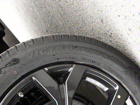 2021�� 290T ������ҫ��