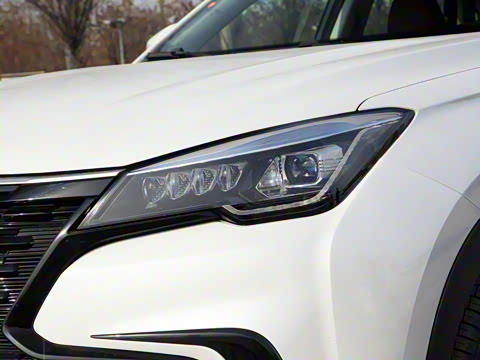 2021�� 2.0T �Զ������