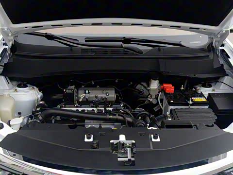 2015�� 2.0T �ֶ��˶�������