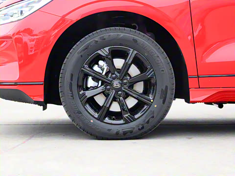 2020�� ������ �������� ������