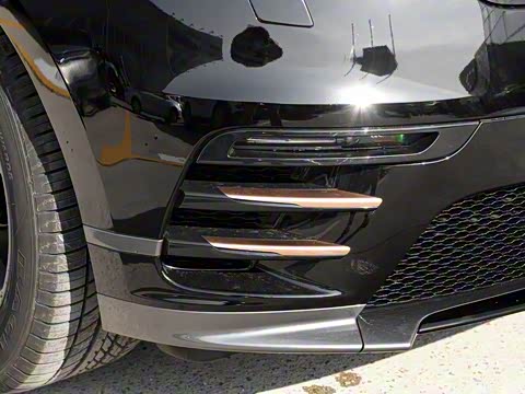 2017�� P380 R-DYNAMIC S