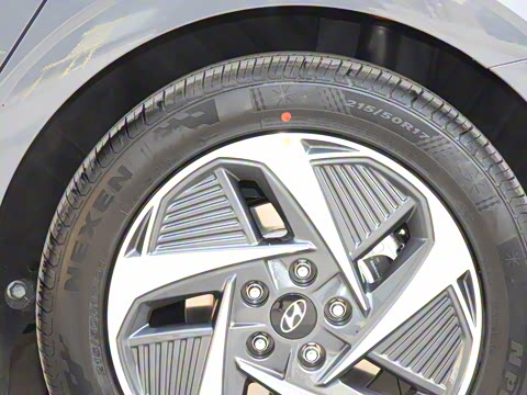 2021�� DLX�����