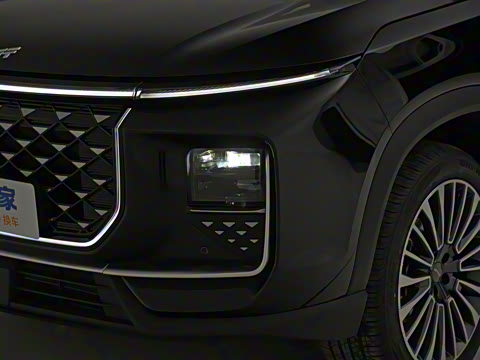 2024�� 1.5TD 2DHT Max 7��