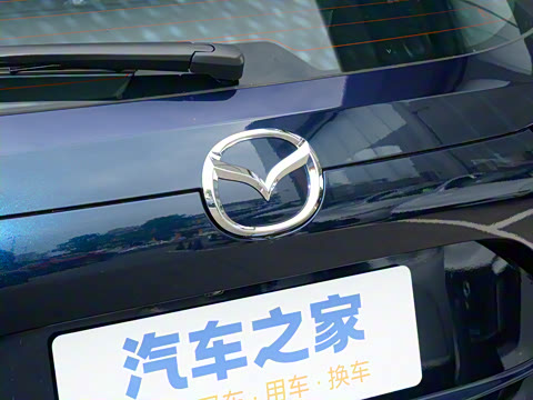 2025�� 2.0L �Զ�����������