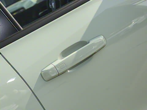 2023�� ���а� 2.0T ������