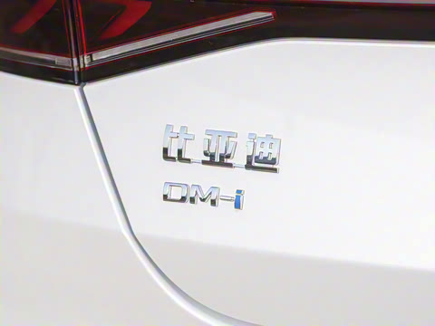 2023�� �ھ��� DM-i 120KM������