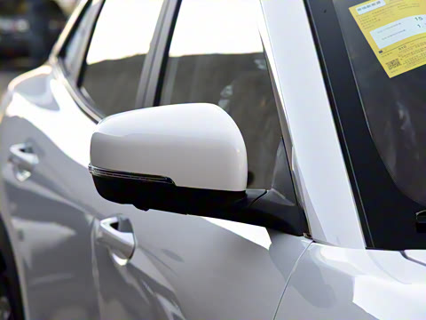 2020�� ����pro��