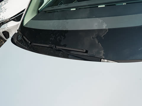 2025�� 550�����״��