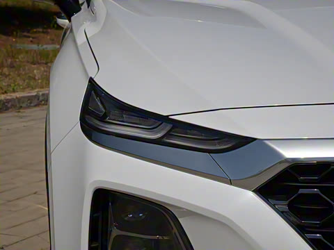 2020�� 380 TGDi �Զ�����DLX HTRAC����PLUS