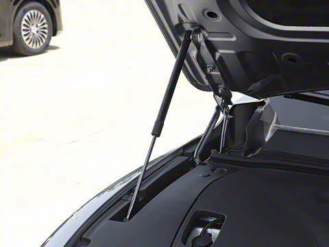 2025�� ���� 230Pro�캽��