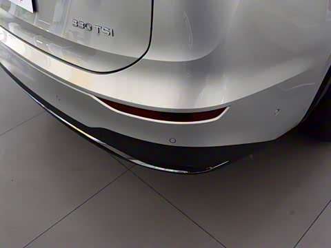 2020�� 330TSI ������