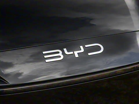 2025�� 135 �����ܼ����״��