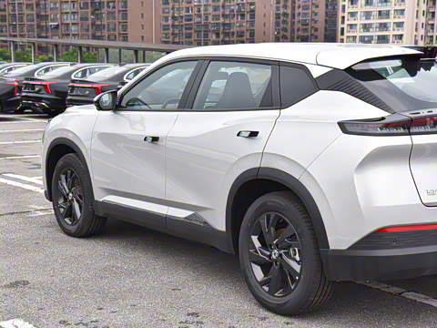 2025�� 518������