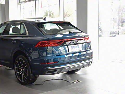 2019�� 55 TFSI ��ѡ������