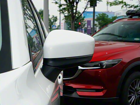 2025�� 2.0L �Զ���������Pro