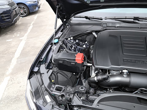 2021�� XFL 2.0T P250 �����׺��˶���