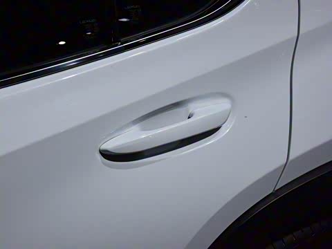 2019�� 260h F SPORT�� ��VI