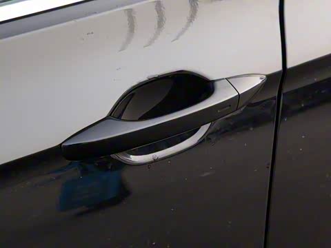 2020�� 330TSI DSG ������