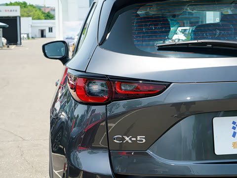 2025�� 2.0L �Զ�����������