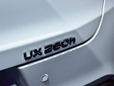 2019�� 260h F SPORT�� ��VI