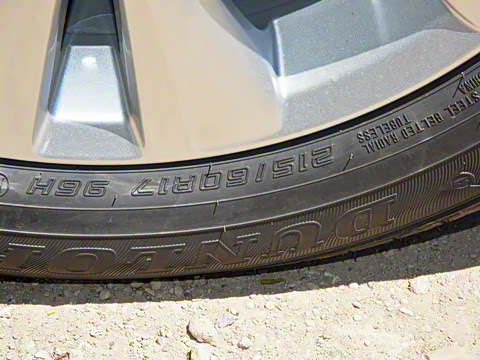 2021�� ˫�� 2.0L ������