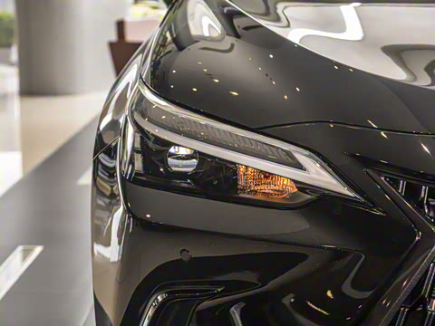 2025�� 260 ǰ�� �ر��