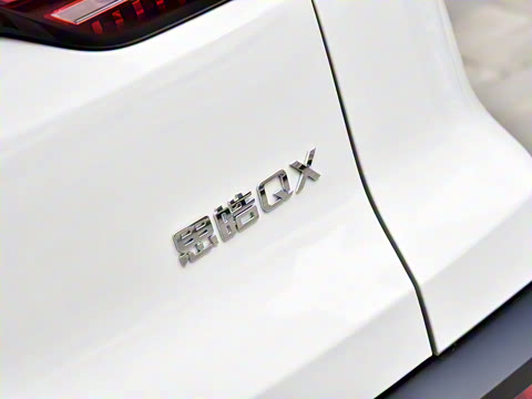 2021�� 300T DCT���������