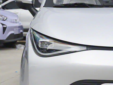 2025�� 305km ������