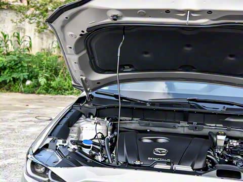 2025�� 2.0L �Զ���������Pro