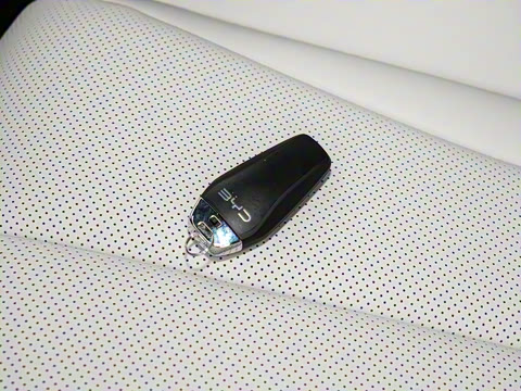 2025�� EV 545KM������