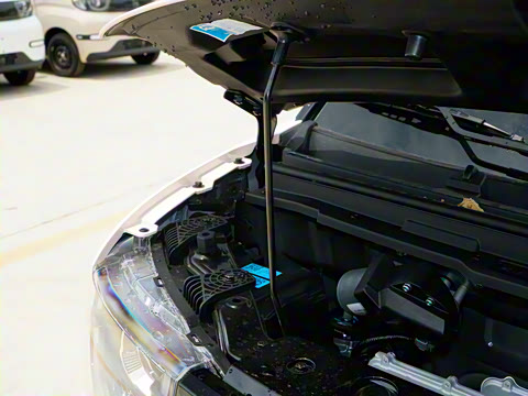 2025�� 205km Ԫ����