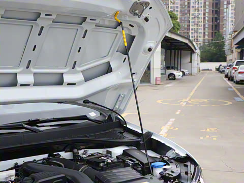 2025�� �Ŀ�� 300TSI DSG���������