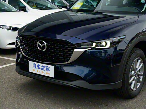 2025�� 2.0L �Զ�����������