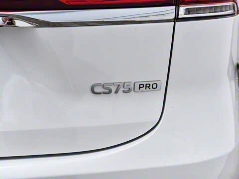 2025�� PRO 1.5T DCT ������ 5��