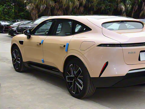 2025�� Max �����