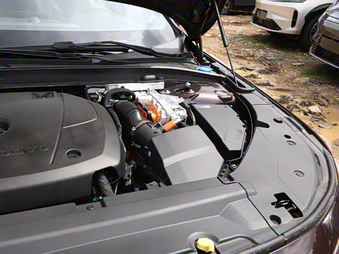 2026�� ���ʽ�춯 ������������Զ������