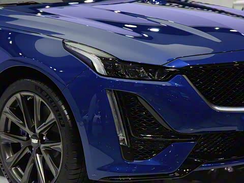 2020�� 28T �����˶���