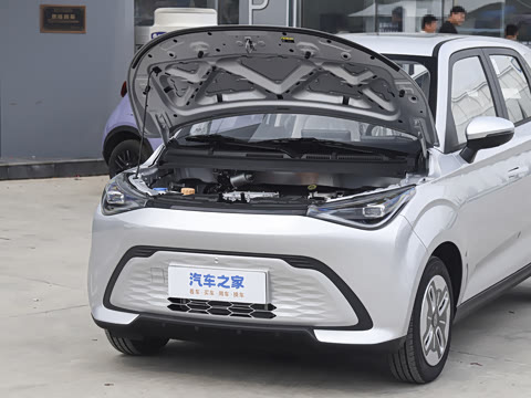 2025�� 305km ������