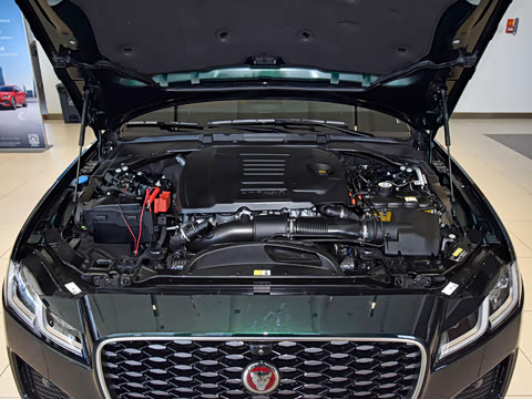 2021�� XFL 2.0T P300 �����콢�˶���