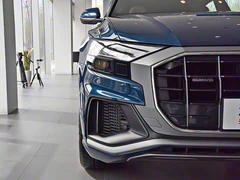 2019�� 55 TFSI ��ѡ������