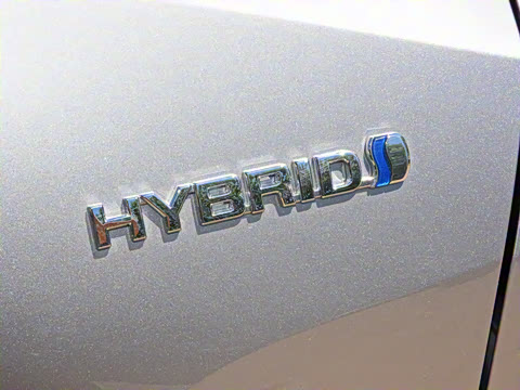 2021�� ˫�� 2.0L ������