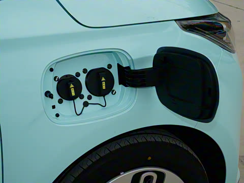 2025�� 305km ������