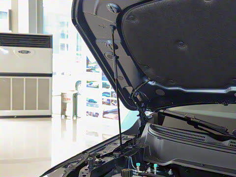 2026�� 165km ������������Max 5��