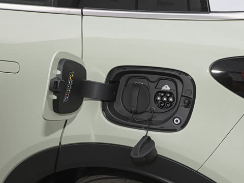 2026�� �鶯��������