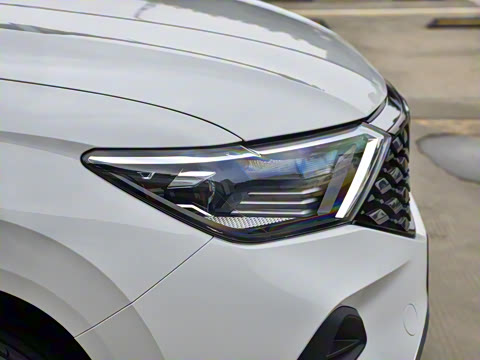 2021�� 1.4T �Զ�������